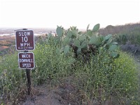 2012 Whiting Ranch CA 0190  Near Santa Ana California is Whiting Ranch State Park. A great place to "run hills". I was able to get some miles in during a trip in June of 2012. : Running, Trail