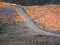 2012 Whiting Ranch CA 0215  Near Santa Ana California is Whiting Ranch State Park. A great place to "run hills". I was able to get some miles in during a trip in June of 2012. : Running, Trail