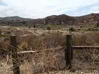 2013-06-24 Black Star Canyon 002