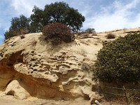 2013-06-24 Black Star Canyon 006