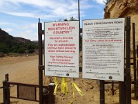 2013-06-24 Black Star Canyon 007