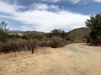 2013-06-24 Black Star Canyon 016