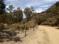 2013-06-24 Black Star Canyon 020
