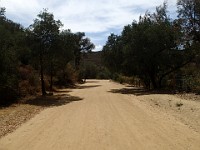 2013-06-24 Black Star Canyon 021
