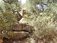 2013-06-24 Black Star Canyon 025