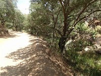 2013-06-24 Black Star Canyon 026