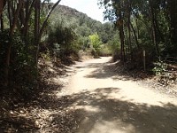 2013-06-24 Black Star Canyon 030