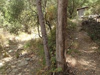 2013-06-24 Black Star Canyon 031