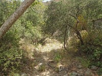 2013-06-24 Black Star Canyon 032