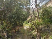 2013-06-24 Black Star Canyon 033