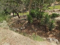 2013-06-24 Black Star Canyon 034