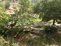 2013-06-24 Black Star Canyon 041