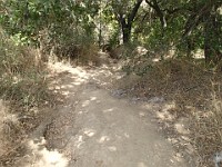 2013-06-24 Black Star Canyon 042