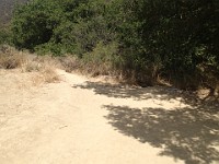 2013-06-24 Black Star Canyon 044