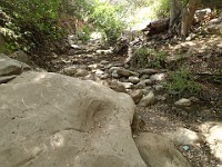 2013-06-24 Black Star Canyon 045