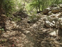 2013-06-24 Black Star Canyon 047