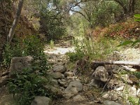 2013-06-24 Black Star Canyon 048