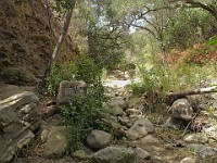 2013-06-24 Black Star Canyon 049