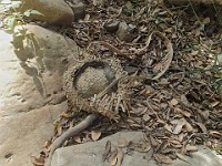 2013-06-24 Black Star Canyon 050