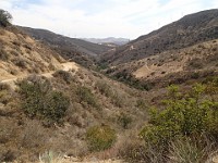 2013-06-24 Black Star Canyon 052
