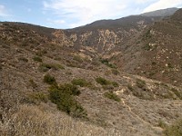 2013-06-24 Black Star Canyon 055
