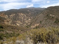 2013-06-24 Black Star Canyon 062