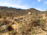 2013-06-24 Black Star Canyon 067