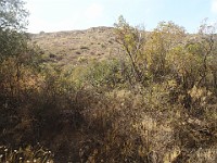2013-06-24 Black Star Canyon 069