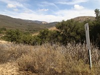 2013-06-24 Black Star Canyon 071