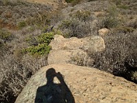 2013-06-24 Black Star Canyon 073