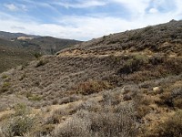 2013-06-24 Black Star Canyon 075