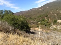 2013-06-24 Black Star Canyon 077
