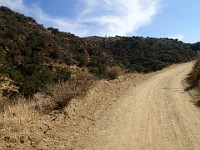 2013-06-24 Black Star Canyon 091