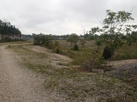 Castalia Quarry Reserve  Castalia Quarry Reserve, Milan Ohio 2013. : Castalia, Castalia Quarry Reserve, Ohio, United States, USA