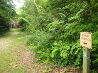 Castalia Quarry Reserve  Castalia Quarry Reserve, Milan Ohio 2013. : Castalia, Castalia Quarry Reserve, Ohio, United States, USA