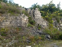 Castalia Quarry Reserve  Castalia Quarry Reserve, Milan Ohio 2013. : Castalia, Castalia Quarry Reserve, Ohio, United States, USA