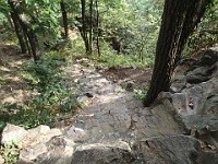 Rave Run - Fun places I have run.  Devils Lake State Park, Wisconsin Dells Wisconsin 2013-09 : Rave Run, Running, Trail, Wisconsin