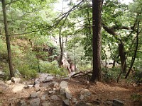 Rave Run - Fun places I have run.  Devils Lake State Park, Wisconsin Dells Wisconsin 2013-09 : Rave Run, Running, Trail, Wisconsin
