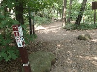 Rave Run Photos  2013 Devils Lake State Park Wisconsin trail run around the lake. : Baraboo, Devils Lake State Park, Rave Runs, Run, Trail, United States, USA, Wisconsin