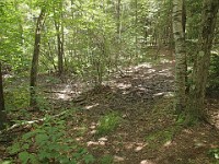 Rave Run Photos  8.5 miles, +2000 feet elevation gain, -2000 feet elevation loss. : Dublin, New Hampshire, United States, USA