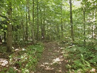 Rave Run Photos  8.5 miles, +2000 feet elevation gain, -2000 feet elevation loss. : Dublin, New Hampshire, United States, USA
