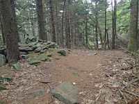 Rave Run Photos  8.5 miles, +2000 feet elevation gain, -2000 feet elevation loss. : Dublin, New Hampshire, United States, USA