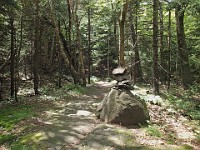 Rave Run Photos  8.5 miles, +2000 feet elevation gain, -2000 feet elevation loss. : Dublin, New Hampshire, United States, USA