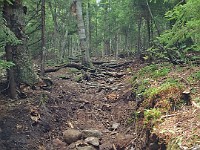 Rave Run Photos  8.5 miles, +2000 feet elevation gain, -2000 feet elevation loss. : Dublin, New Hampshire, United States, USA