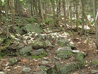 Rave Run Photos  8.5 miles, +2000 feet elevation gain, -2000 feet elevation loss. : Dublin, New Hampshire, United States, USA