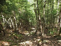 Rave Run Photos  8.5 miles, +2000 feet elevation gain, -2000 feet elevation loss. : Dublin, New Hampshire, United States, USA
