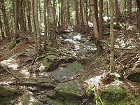 Rave Run Photos  8.5 miles, +2000 feet elevation gain, -2000 feet elevation loss. : Dublin, New Hampshire, United States, USA