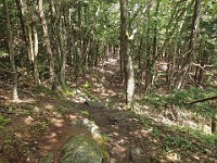 Rave Run Photos  8.5 miles, +2000 feet elevation gain, -2000 feet elevation loss. : Dublin, New Hampshire, United States, USA