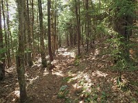 Rave Run Photos  8.5 miles, +2000 feet elevation gain, -2000 feet elevation loss. : Dublin, New Hampshire, United States, USA
