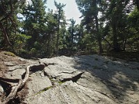 Rave Run Photos  8.5 miles, +2000 feet elevation gain, -2000 feet elevation loss. : Dublin, New Hampshire, United States, USA